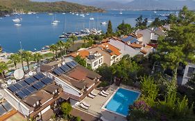 Villa Daffodil Fethiye 3*